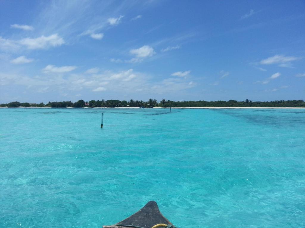Rip Tide Vacation Inn, K.Guraidhoo Guraidhoo  Exteriér fotografie